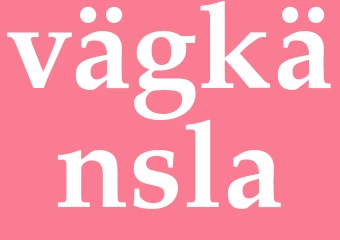 Synonym vägkänsla