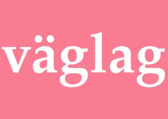 Synonym väglag