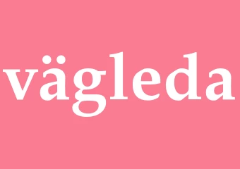 Synonym vägleda