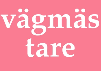 Synonym vägmästare