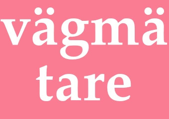 Synonym vägmätare