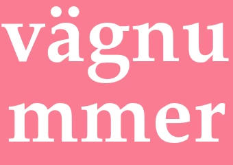 Synonym vägnummer