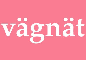 Synonym vägnät
