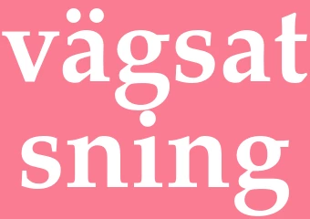 Synonym vägsatsning