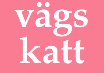 Synonym vägskatt