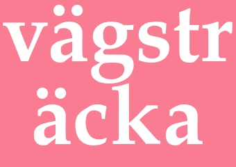 Synonym vägsträcka