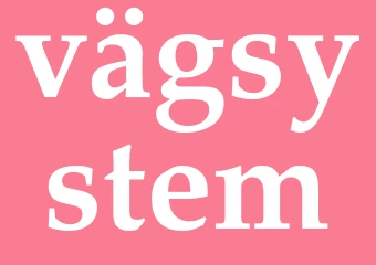 Synonym vägsystem