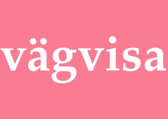 Synonym vägvisa