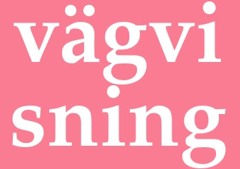 Synonym vägvisning