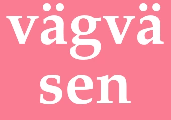 Synonym vägväsen