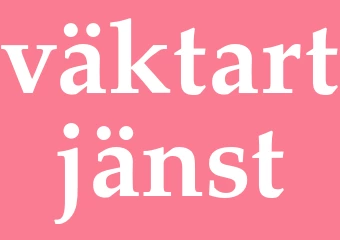 Synonym väktartjänst