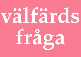 Synonym välfärdsfråga