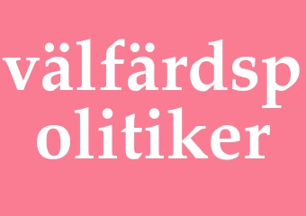 Synonym välfärdspolitiker