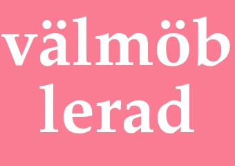 Synonym välmöblerad
