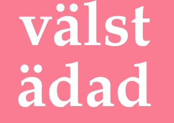 Synonym välstädad