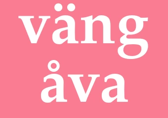 Synonym vängåva
