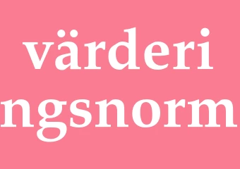 Synonym värderingsnorm