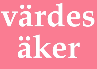 Synonym värdesäker