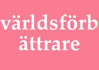 Synonym världsförbättrare