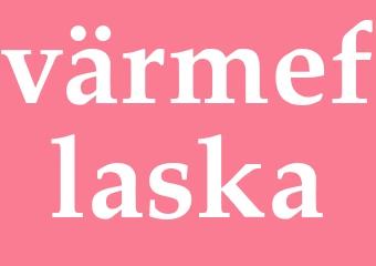 Synonym värmeflaska