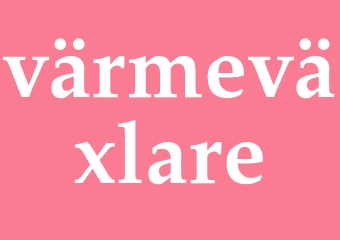 Synonym värmeväxlare