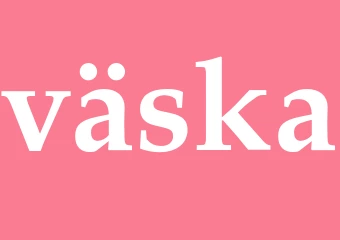 Synonym väska