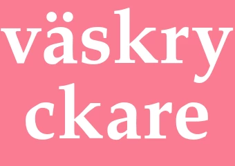 Synonym väskryckare