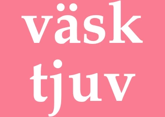 Synonym väsktjuv