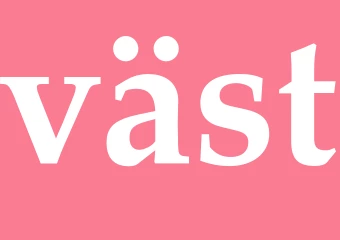 Synonym väst