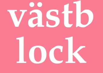 Synonym västblock