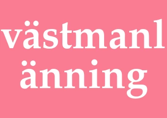 Synonym västmanlänning