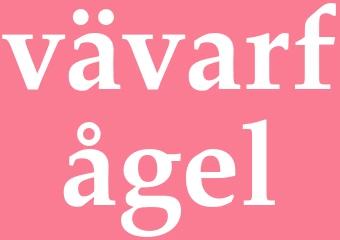 Synonym vävarfågel