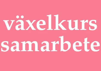 Synonym växelkurssamarbete
