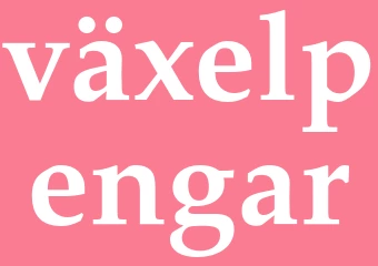 Synonym växelpengar