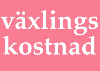 Synonym växlingskostnad