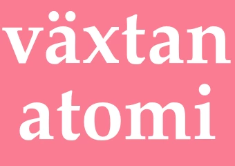 Synonym växtanatomi