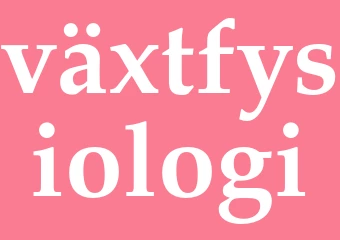 Synonym växtfysiologi
