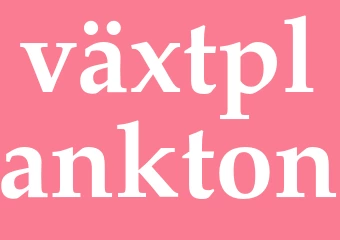 Synonym växtplankton