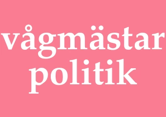 Synonym vågmästarpolitik
