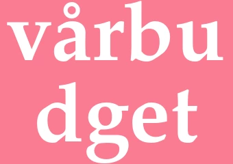 Synonym vårbudget