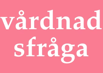 Synonym vårdnadsfråga