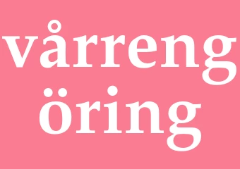 Synonym vårrengöring