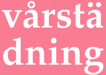 Synonym vårstädning
