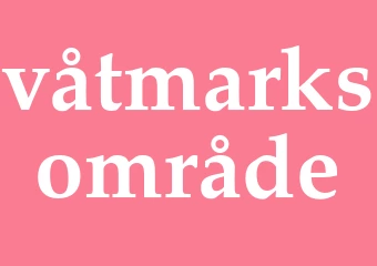 Synonym våtmarksområde