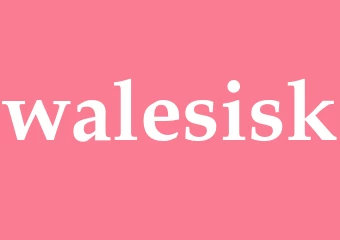 Synonym walesisk