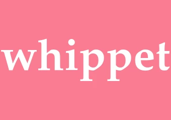 Synonym whippet