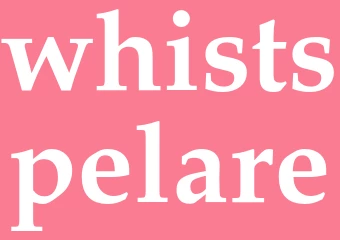 Synonym whistspelare