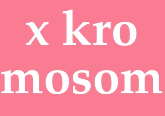 Synonym x-kromosom