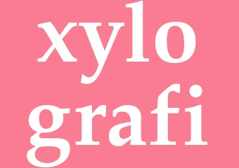 Synonym xylografi