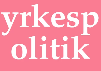 Synonym yrkespolitik